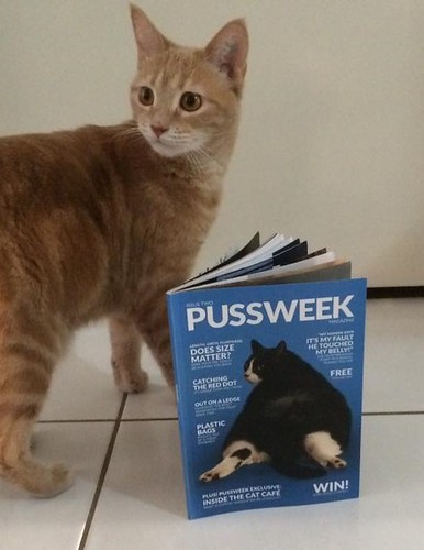 Pussweek Magazine for kitties