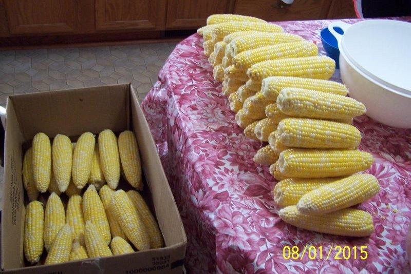 freezing corn (4)