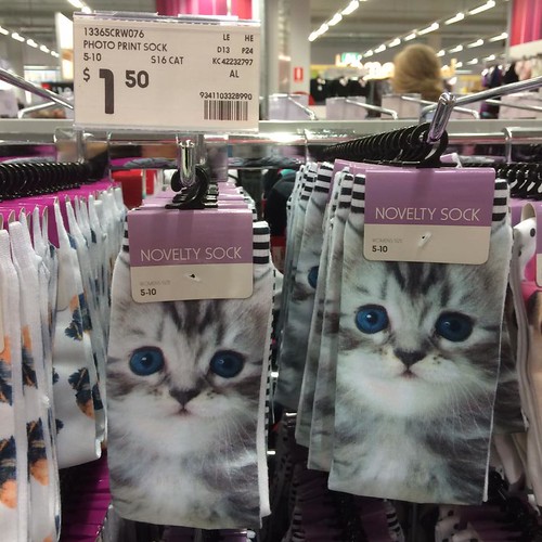 crazy cat ladies love kitten socks 