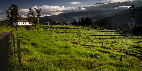 colombia manizales pasture grass green sunlight sunrise leaningladder canon 7d