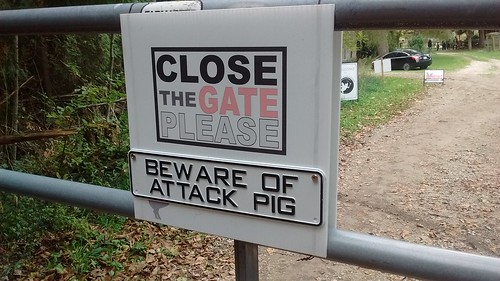 Close the Gate Please - Beware of Attack Pig