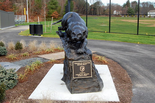 FHS Panther