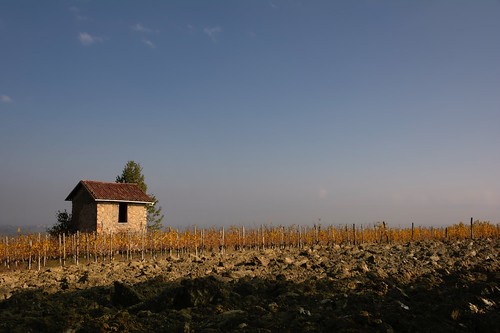 morning autumn sky field landscape vineyard piemonte cielo campo autunno paesaggio smallhouse mattina monferrato vigneto allaperto piccolacasa ciabòt nikond7100 sigma1770contemporary
