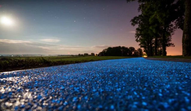 Close Up Shot in  Poland's Glow In The Dark Bike Path