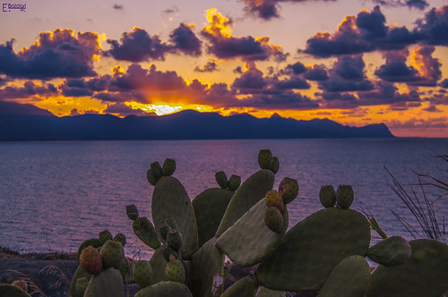 sunset sea cactus italy orange mountains verde green montagne nikon italia tramonto mare purple sicily viola arancio sicilia balestrate d3100