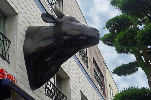 japan cow 3d saga kyushu imari