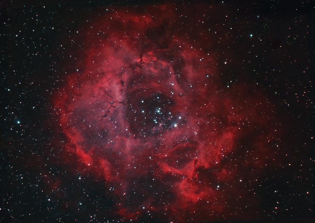 Rosette nebula Bi-colour