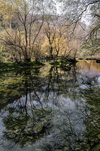 autumn reflection water river landscape macedonia waterscape matka treska