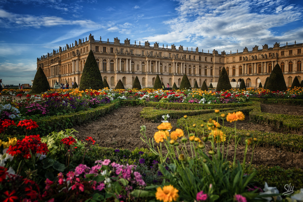 Fleurs de Versailles