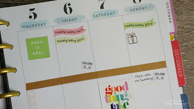 Plan With Me Week 45 and November 2015