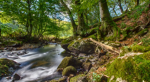 hdr rivière river courant stream forêt morvan forest nièvre bourgogne