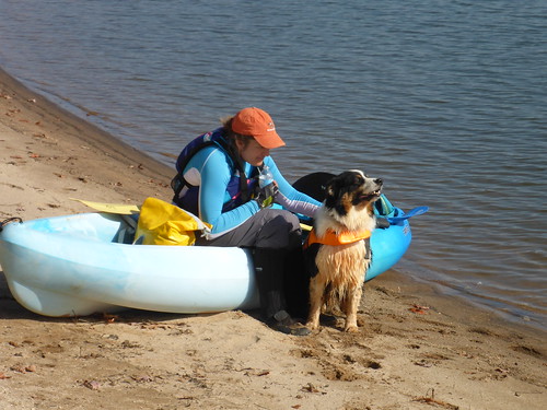 kayak lake dog jocasse hartwell