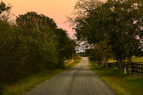 texas wallercounty josephroad trees sunset dusk road lane wyojones np