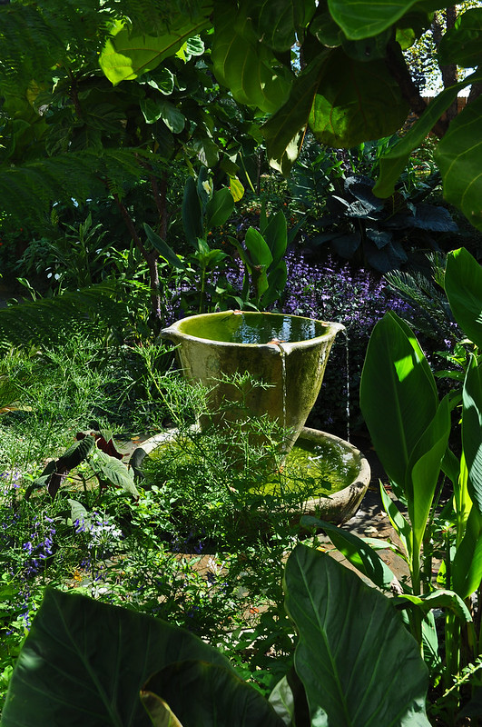 Teacup Garden (2)