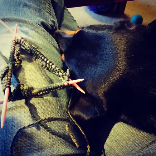 Knitting and Puppy Cuddling by Lapdog Creations
