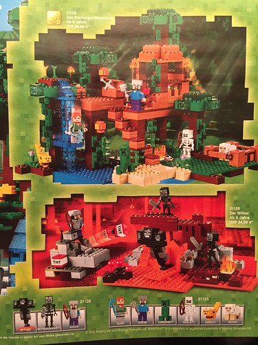 LEGO Elves & Minecraft Set Images Revealed - The Brick Fan