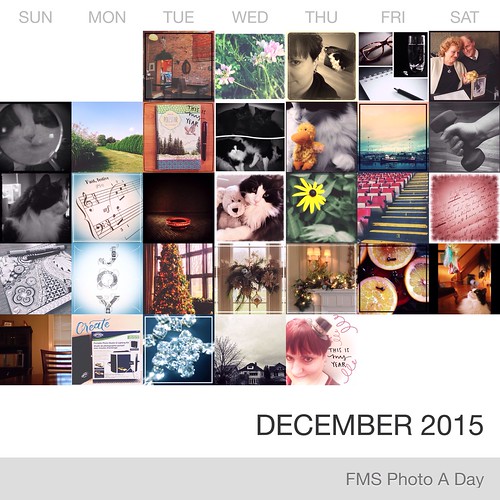 FMS Photo A Day December 2015