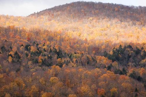 trees mapletrees landscape winter vermont red foliage mountains sunrise evergreens autumn fall orange snow huntington unitedstates us