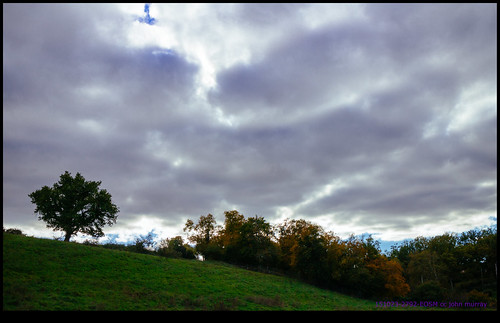 trees sky france tree clouds eurotrip lonetree 2015 soletree