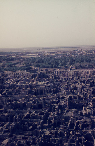 ruins iran citadel bam