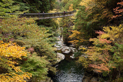 吉野郡 奈良県 橋 bridge japan 天川村 みたらい渓谷 渓谷 valley 紅葉 autumnleaves