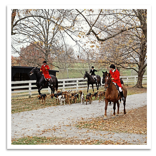 blessingofthehounds tradition foxhunting hunt shakervillage pleasanthill harrodsburg ky woodfordhounds horse hound rider sport