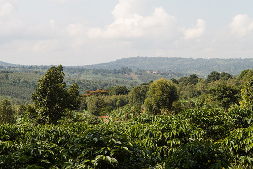 uganda ug centralregion kalungu
