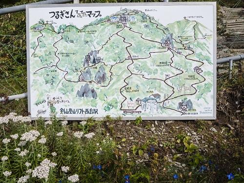 mountain nature trekking outdoor 日本 徳島県 三好市