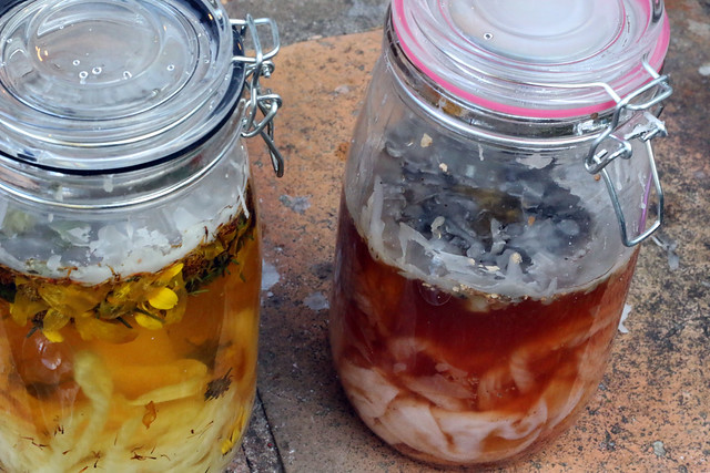 Solar Natural Dyeing with Fly Agaric Fungi and Biden Flowers