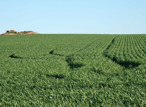 field tracks crop mound jamestown