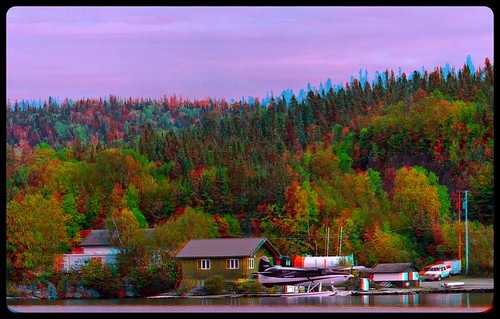 autumn plants lake ontario canada tree fall america forest radio canon eos stereoscopic stereophoto stereophotography 3d woods raw control north kitlens twin anaglyph stereo backcountry stereoview outback remote spatial 1855mm hdr province wawa redgreen 3dglasses hdri indiansummer transmitter stereoscopy synch anaglyphic optimized in threedimensional stereo3d cr2 stereophotograph anabuilder synchron redcyan 3rddimension 3dimage tonemapping 3dphoto 550d hyperstereo stereophotomaker 3dstereo 3dpicture anaglyph3d yongnuo stereotron