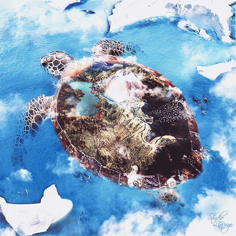 Turtle island2