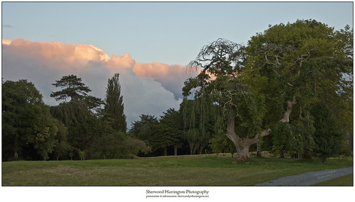 trees ireland sunset clouds lateafternoon offaly birrcastledemesne