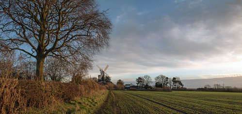winter sky brown tree green heritage history mill windmill field museum clouds sunrise sails hedgerow wolds skidby sydyoung