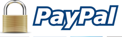 PAYPAL ICON