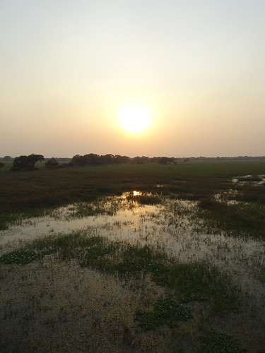 sunset india keoladeo