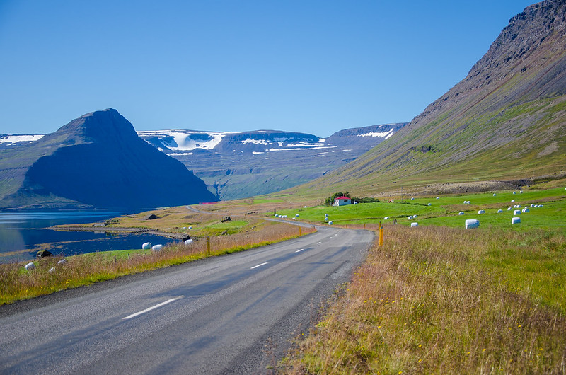 Islandia o como viajar al planeta del hielo y el fuego - Blogs de Islandia - Día 3: una vez visto uno... (1)