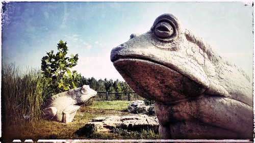 park texture statue landscape eyes frog smartphone htc snapseed
