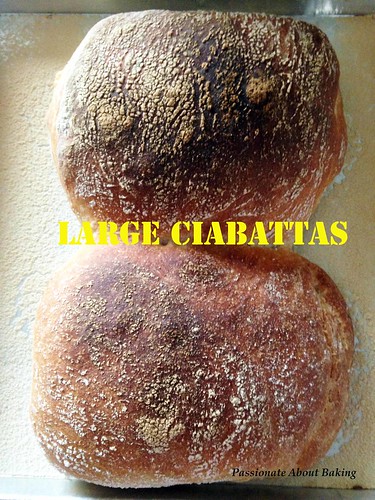 bread_ciabatta02
