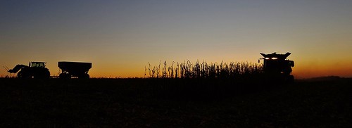harvest farmmachinery farming agriculture finish silhouette sunset end field cornfield dusk evening sky combine