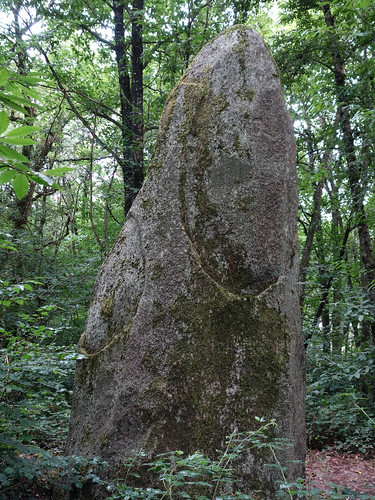 bretagne menhir granit mégalithe côtesdarmor rochelongue gomené larochelongue pellionnaie bellouan peillonnaye guénaie
