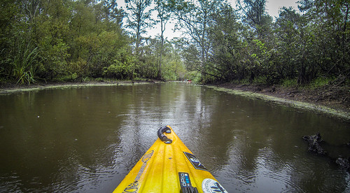 us unitedstates southcarolina kayaking paddling pinewood lcu lowcountryunfiltered sparkleberryswamp fultoncrossroads