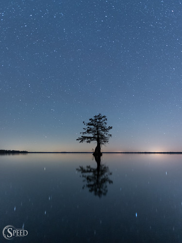 chesapeake baldcypress greatdismalswamp lakedrummond nightskyphotography nikond750 nikon20mm18g possiblyamonster