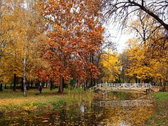 Autumn - Skopje City Park