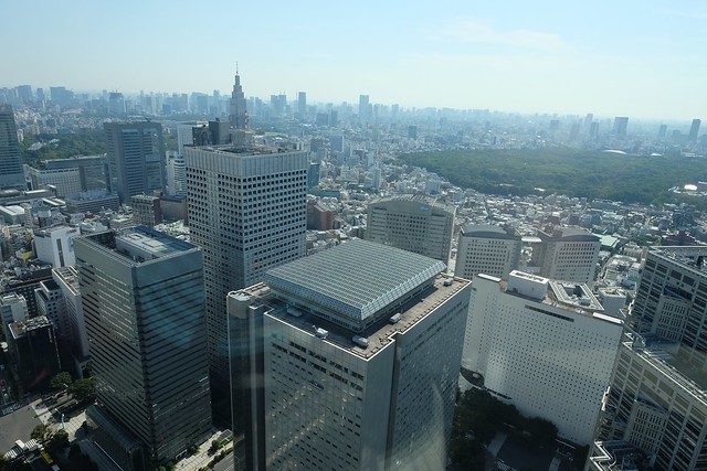 View from the Tokyo Metropolitan Government Building