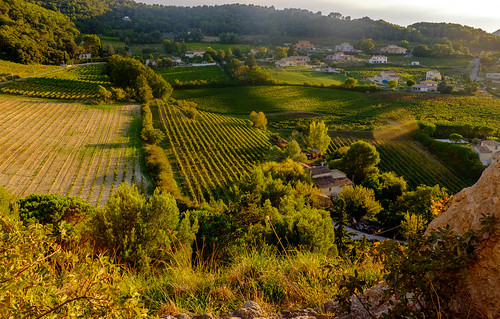 vineyards provence chateau vaisonlaromaine cyclingveloquebec