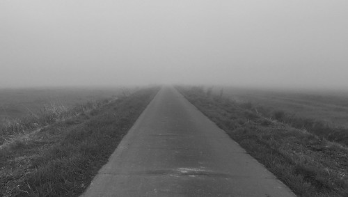 morning blackandwhite bw mist nature monochrome fog landscape mono countryside blackwhite morningwalk morningmist iphone blackwhitephotos iphoneography