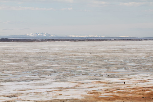 ©alexanderalechits canoneos7d canonef70300mmf456lisusm sakhalin nature wildlife ice fisherman сахалин море рыбалка рыбак весна