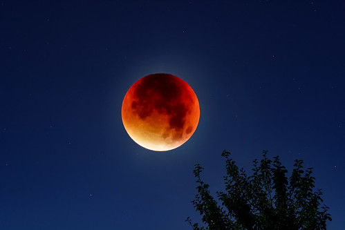 nightphotography moon night mond nacht nachtaufnahme bloodmoon mondfinsternis blutmond supermond