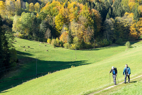 austria oberösterreich at naturfreunde gemeindekönigswiesen